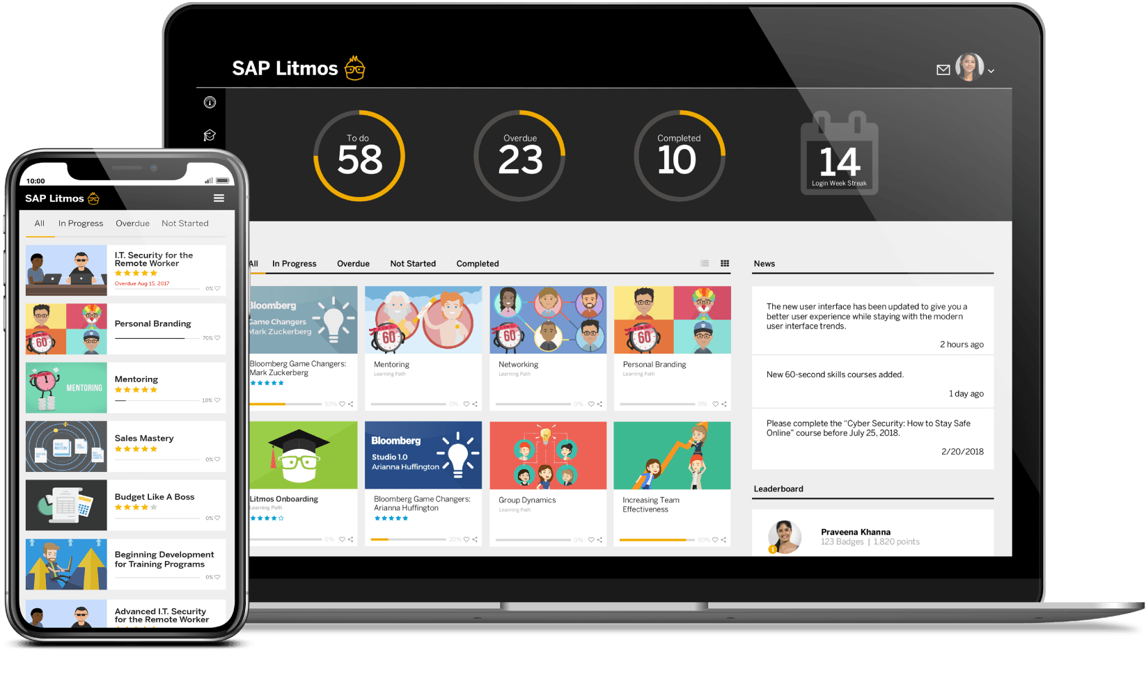 interface sap litmos